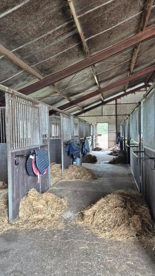 Privé stalling aangeboden in midwolda, Dieren en Toebehoren, Stalling en Weidegang, Stalling, 2 of 3 paarden of pony's