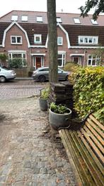 Stoeptegels gratis af te halen! +/- 120 stuks, Tuin en Terras, Ophalen, Halfschaduw, Overige soorten