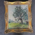 Te Koop Diverse Top werken (schilderijen), Antiek en Kunst, Kunst | Schilderijen | Klassiek, Ophalen