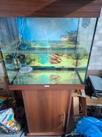 Juwel lido 120, Dieren en Toebehoren, Vissen | Aquaria en Toebehoren, Ophalen, Leeg aquarium