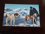 St Bernard honden, Verzamelen, Ophalen of Verzenden, 1920 tot 1940, Ongelopen, Hond of Kat