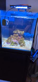 Blue Marine Reef 60l, Ophalen, Zo goed als nieuw