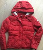 Rode winterjas Hollister maat M, Kleding | Dames, Ophalen of Verzenden, Gedragen, Rood