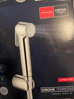 Grohe Tempesta Trigger Spray 30 Supersteel (RVS), Ophalen of Verzenden, Nieuw, Rvs, Overige typen