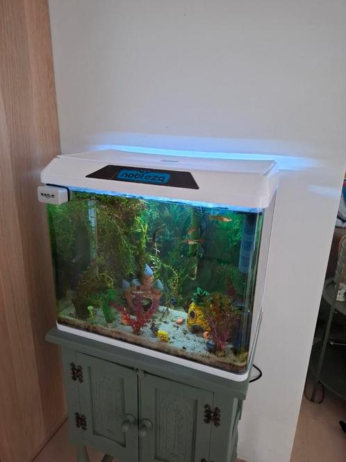 Nobleza aquarium 60 liter compleet incl vissen en toebehoren, Dieren en Toebehoren, Vissen | Aquaria en Toebehoren, Zo goed als nieuw