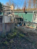 Kweepeer boom te koop, Tuin en Terras, Planten | Bomen, Volle zon, Lente, 100 tot 250 cm, Overige soorten