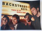 Backstreet Boys tourbook GRATIS, Verzamelen, Foto of Kaart, Ophalen of Verzenden, Zo goed als nieuw