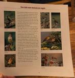 Meer vogels in de tuin - Vogelbescherming Nederland, Ophalen of Verzenden, Zo goed als nieuw, Vogels