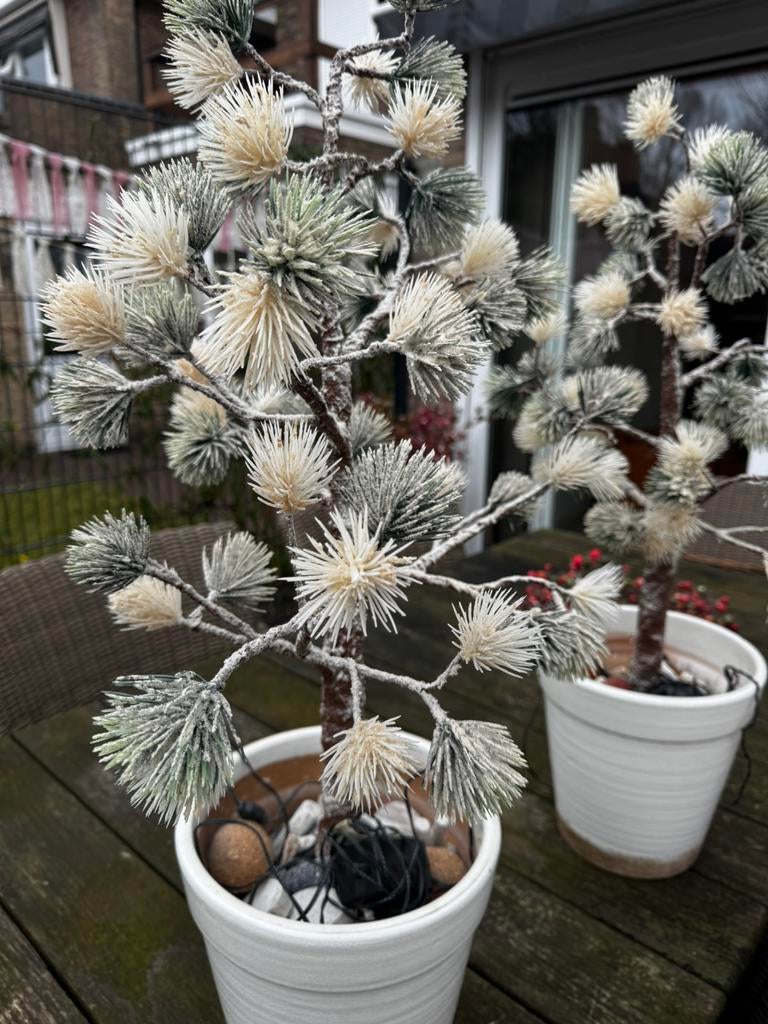 2 mooie kunstplanten met verlichting., Ophalen, Overige soorten, Volle zon