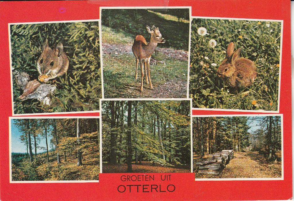 Groeten uit Otterlo 1993, Verzenden, 1980 tot heden, Gelopen, Gelderland