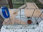 Hamsterkooi, Dieren en Toebehoren, Kooi, Gebruikt, Minder dan 75 cm, Hamster