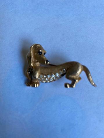 Broche teckel beschikbaar voor biedingen