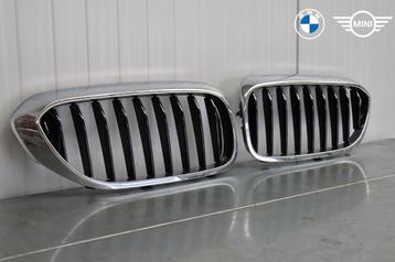 BMW 5 Serie Grille G30 / G31 beschikbaar voor biedingen