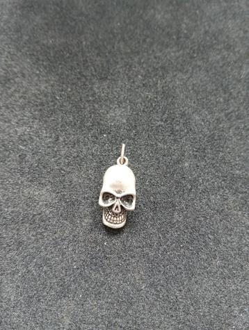 zilver kleurige Skul hals hanger beschikbaar voor biedingen
