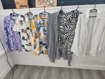 Diverse Dames Blouses - Mix van Stijlen beschikbaar voor biedingen