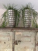 Vazen twee stuks Ptmd, Ophalen, Overige kleuren, Minder dan 50 cm, Glas