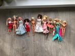 Grote verzameling barbies met accessoires, Kinderen en Baby's, Speelgoed | Poppen, Zo goed als nieuw, Ophalen, Barbie