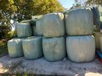 tekoop voordroog midibalen, Dieren en Toebehoren, Ophalen, Vee