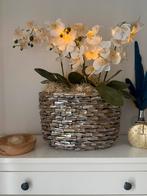 Schelpenvaas, Ophalen, Zo goed als nieuw