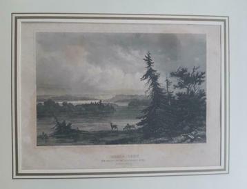 05 / Amerika USA  Itasca Lake  staalgravure ca 1850 beschikbaar voor biedingen