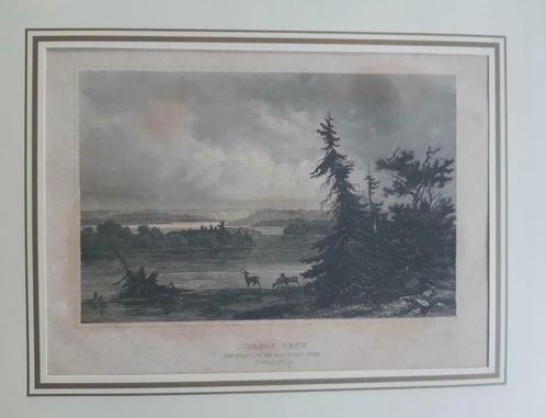 05 / Amerika USA  Itasca Lake  staalgravure ca 1850, Antiek en Kunst, Kunst | Etsen en Gravures, Ophalen of Verzenden