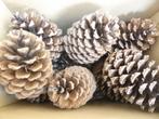1 x 20 super mooie grote natuurlijke dennenappels 14 cm(X), Ophalen of Verzenden, Nieuw