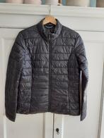Gewatteerde tussen jas, Maat: M/38, Hema, Kleding | Dames, Jassen | Winter, Maat 38/40 (M), Zwart, Ophalen of Verzenden, Gedragen