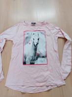 Shirt van Page Young. Maat 158/164, Kinderen en Baby's, Kinderkleding | Maat 158, Gebruikt, Meisje, Ophalen of Verzenden, Shirt of Longsleeve