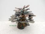 003* Bronzen bonsai (Boven €75 geen verzendkosten), Ophalen of Verzenden, Nieuw, Overige materialen, Overige typen