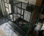 Mooie Montana voliere, Dieren en Toebehoren, Ophalen, Zo goed als nieuw, Metaal, Volière