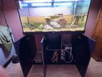 Juwel Aquarium Rio 180 Led 101x41x50 Inclusief toebehoren, Dieren en Toebehoren, Ophalen of Verzenden, Zo goed als nieuw, Gevuld zoetwateraquarium