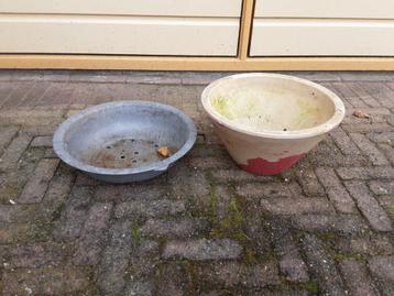 GRATIS Bloempotten/ Schaal beschikbaar voor biedingen