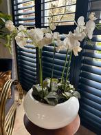 Zijden Orchideen in grote witte mooie pot. Zeer exclusief, Ophalen of Verzenden, Zo goed als nieuw