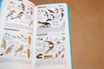Zakgids Vogels — Speciale Uitgave Vogelbescherming, Ophalen of Verzenden, Zo goed als nieuw, Vogels