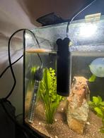 Aquarium, Ophalen, Gebruikt, Gevuld zoetwateraquarium