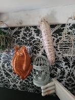 Nieuwe gegrilde kip kunst, Heikant 21 Kaatsheuvel, Belle Vieille Brocante, Nieuw, Ophalen of Verzenden