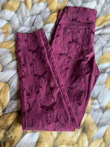 Bordeauxrode broek met kant reliëf van Hema maat M. ZGAN beschikbaar voor biedingen