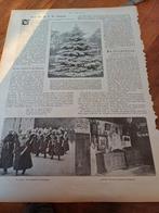 Artikel over Staphorst 1909, Ophalen of Verzenden, Voor 1920, Knipsel(s)