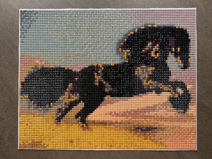 Diamond painting paard bloem of zen, Huis en Inrichting, Woonaccessoires | Overige, Nieuw, Ophalen of Verzenden