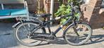 Alpina curve 24 inch, Minder dan 47 cm, Ophalen of Verzenden, Gebruikt, Versnellingen