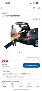 Honden loopplank, Dieren en Toebehoren, Ophalen, Zo goed als nieuw