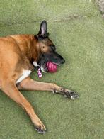 Tornado F4 coockoo, Dieren en Toebehoren, Ophalen of Verzenden, Nieuw, Kauwspeelgoed