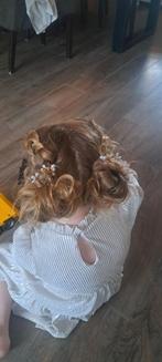 Thuiskapster voor haren opsteken, Ophalen