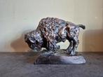 Massief bronzen bizon ( genummerd / gesigneerd ), Antiek en Kunst, Ophalen of Verzenden