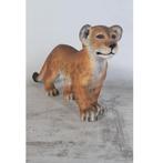 Lion Cub Standing – Welp Leeuw beeld Lengte 86 cm, Nieuw, Ophalen