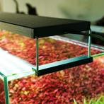 Chihiros WRGB2 10th edition 90cm + shades + hangkit, Ophalen of Verzenden, Zo goed als nieuw, Verlichting of Verwarming