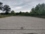 Plek vrij voor merrie op paddock paradise aan huis, Dieren en Toebehoren, Stalling en Weidegang