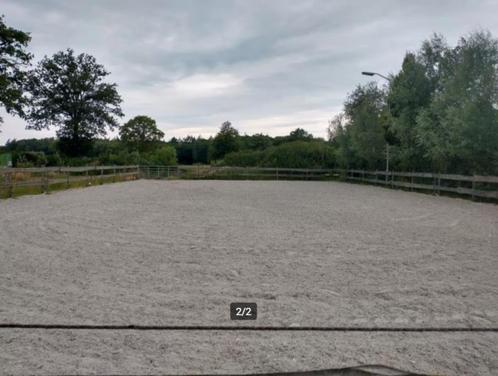 Plek vrij voor merrie op paddock paradise aan huis, Dieren en Toebehoren, Stalling en Weidegang