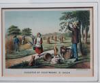 Oude Litho uit 1871 Augustus Oogstmaand, Ophalen of Verzenden