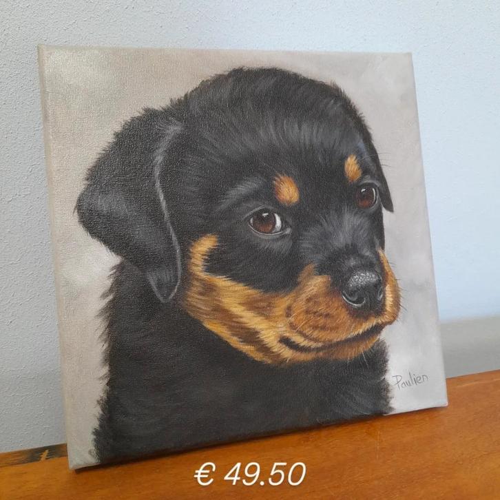 OPRUIMING  schilderij rottweiler pup - eigen werk honden pup, Huis en Inrichting, Woonaccessoires | Schilderijen, Tekeningen en Foto's